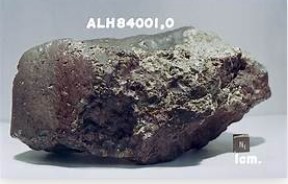 the Allan Hills 84001 meteorite
